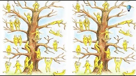 What Kind of a Person You Are | The BLOB TREE Psycho-Emotional Test tells you that