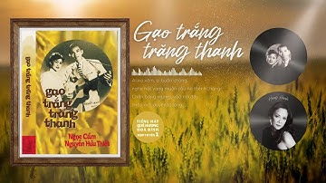 Gạo Trắng Trăng Thanh | Ngọc Cẩm - Nguyễn Hữu Thiết | MV Lyrics