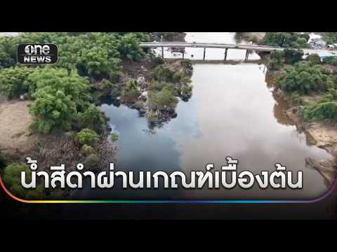 ผลตรววจน้ำ "สีดำ" ผ่านเกณฑ์ แต่จุดอื่นพบสารปนเปื้อน | ข่าวเย็นช่องวัน | สำนักข่าววันนิวส์
