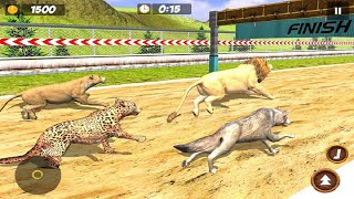 Animal Racing Simulator: Wild Animals Race Game Android Gameplay #2 Lion Tiger Wolf Bear Leopard screenshot 5