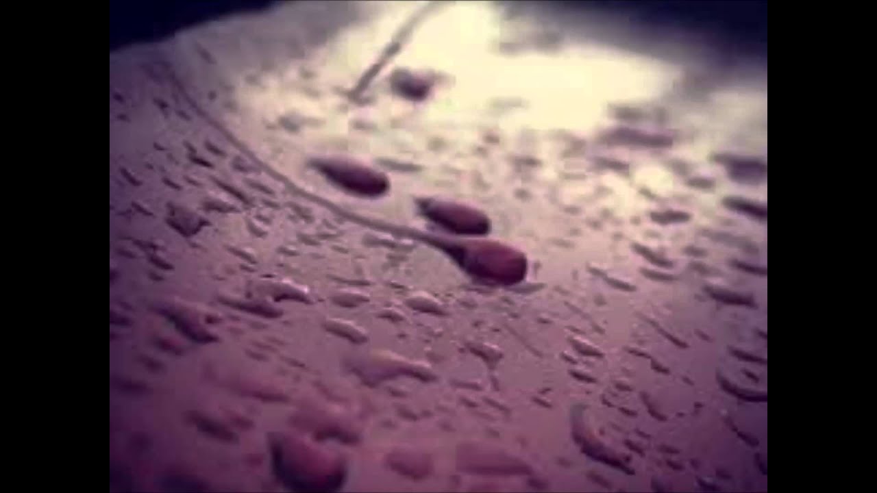 remember when it rained karaoke