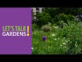 view Top Twenty Perennials for Healthy Habitats - Let&apos;s Talk Gardens digital asset number 1