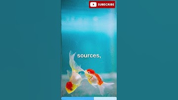 Gold Fish have three second memory😦😦