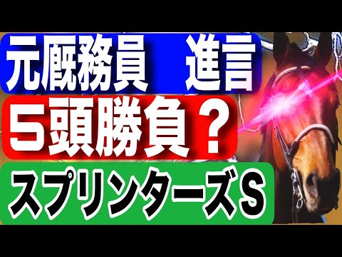 スプリンターズステークス2025予想 今年の注目馬と見どころを元厩務員が徹底解説