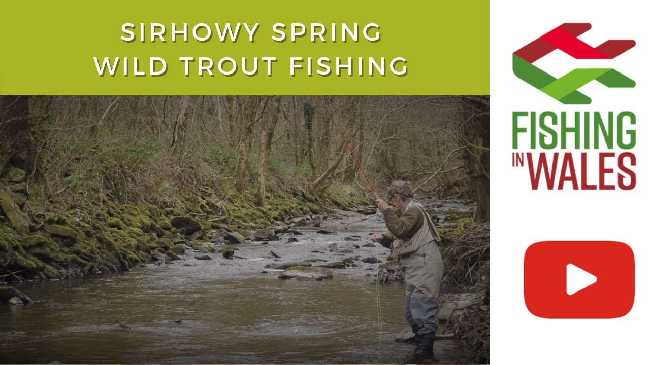 Sirhowy Spring - Wild trout fishing on a post industrial river in Wales