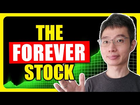 If I Could Only Buy 1 Stock And Hold Forever, This Would Be It