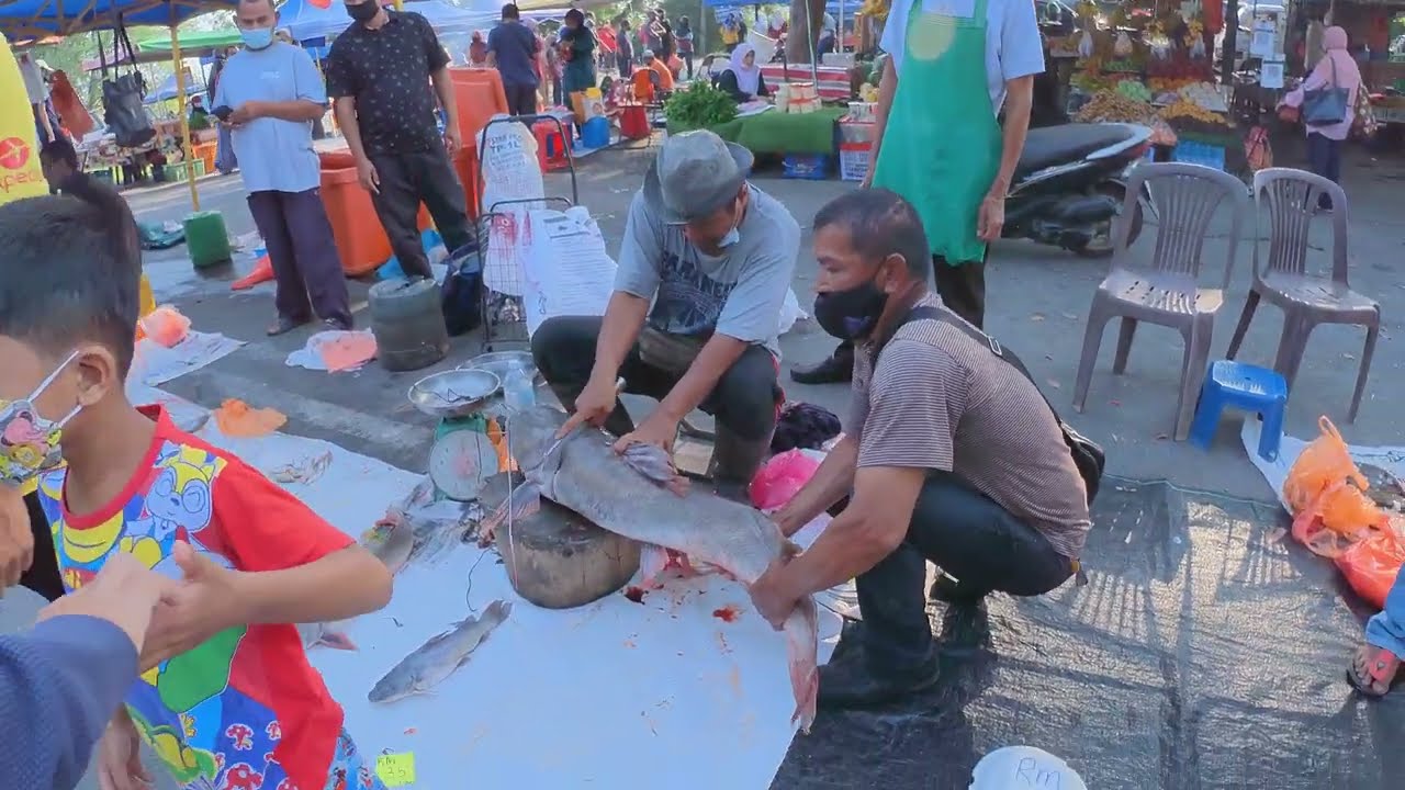 PEKAN SEHARI TEMERLOH