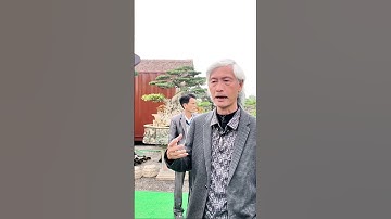 Bật mí triển lãm cây cảnh đặc biệt | Gã Đầu Bạc - Vua Tùng