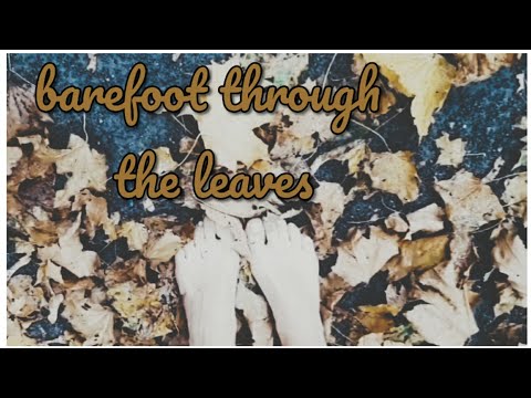 barefoot on the leaves, barefoot on the autumn land