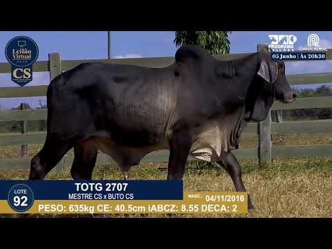 LOTE 92