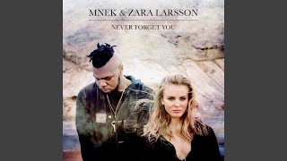 Never Forget You