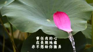 Video thumbnail of "蔡國權 不裝飾你的夢"