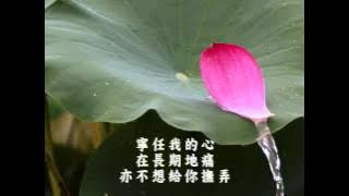 蔡國權 不裝飾你的夢