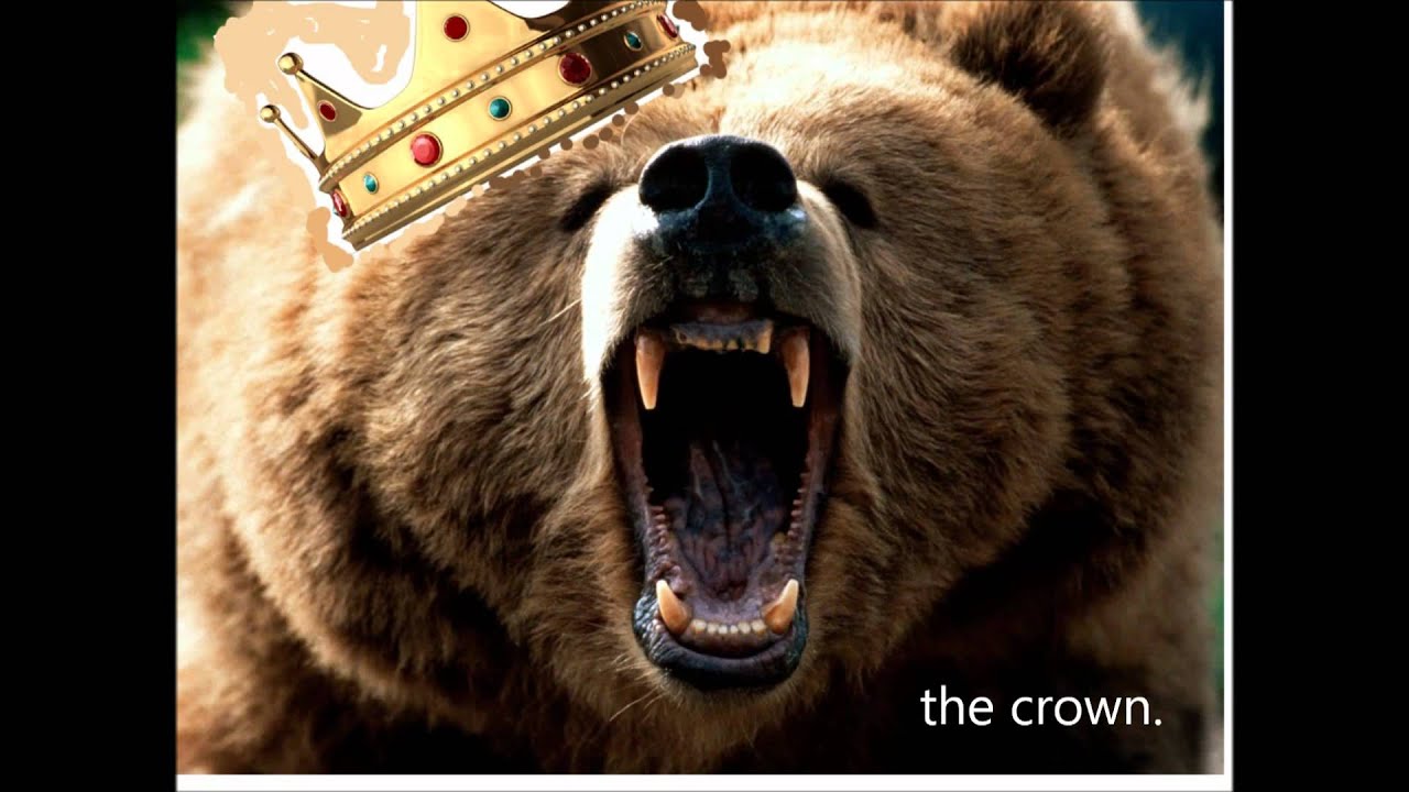 Bear Down Chicago Bears HD Chicago Symphony Orchestra With Lyrics bear-down-chicago-bears-hd-chicago-symphony-orchestra-with-lyrics