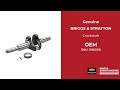 596006 - Crankshaft - Briggs and Stratton - Genuine OEM Part