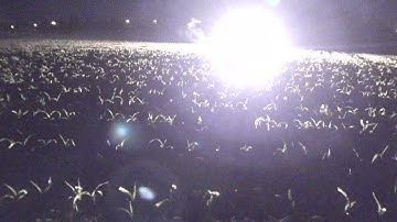 FP3 Small VS FP3 Widowmaker (1080p)