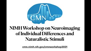 RoundTable 2 - NIMH CMN Workshop on Naturalistic Stimuli & Individual Differences