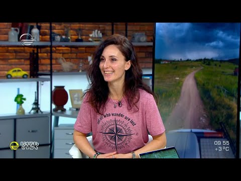 ქვეყნებში მიკრო-ავტობუსით მარტო მოგზაურობის ისტორია