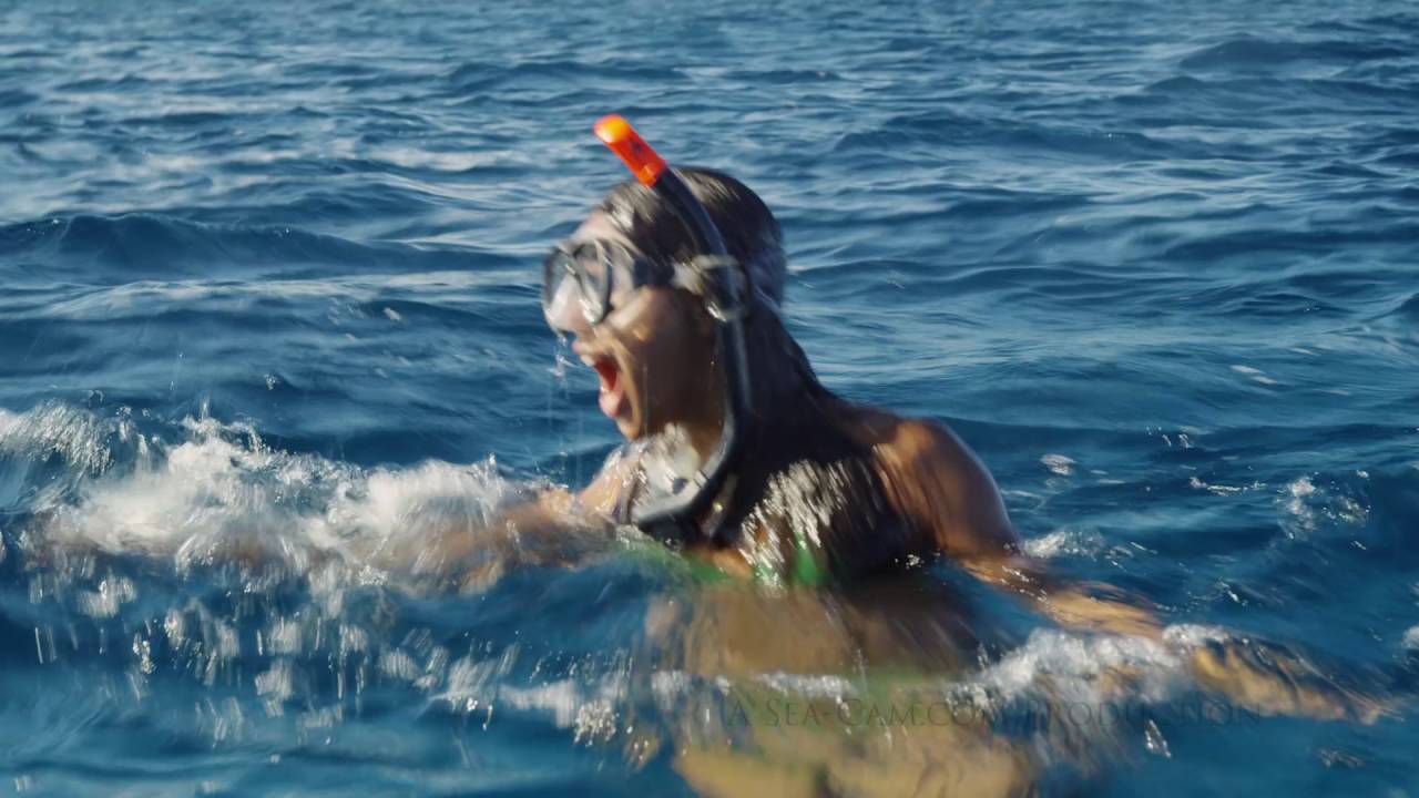 Shark takes girl for ride! Shark Whisperer YouTube