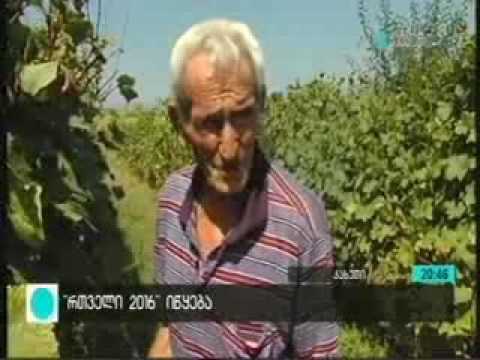 23 08 2016   მაესტრო   კონტაქტი რვაზე