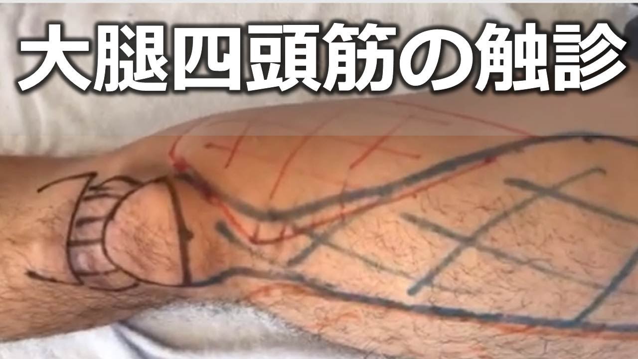 大腿四頭筋の触診方法 大腿直筋 外側広筋 内側広筋の触り方 ライブ 長野市の整体zen繕 Youtube 大腿四頭筋の触診方法 大腿直筋 外側広筋 内側広筋の触り方 ライブ 長野市の整体zen繕 Youtube