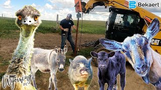 Building the Perfect Multi Species Fence for the Ranch