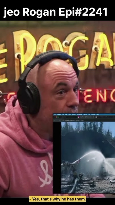 Joe Rogan Experience #2241 - Rick Strassman - YouTube