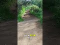 The Wilhelm Scream The Most Famous Sound Effect Ever!