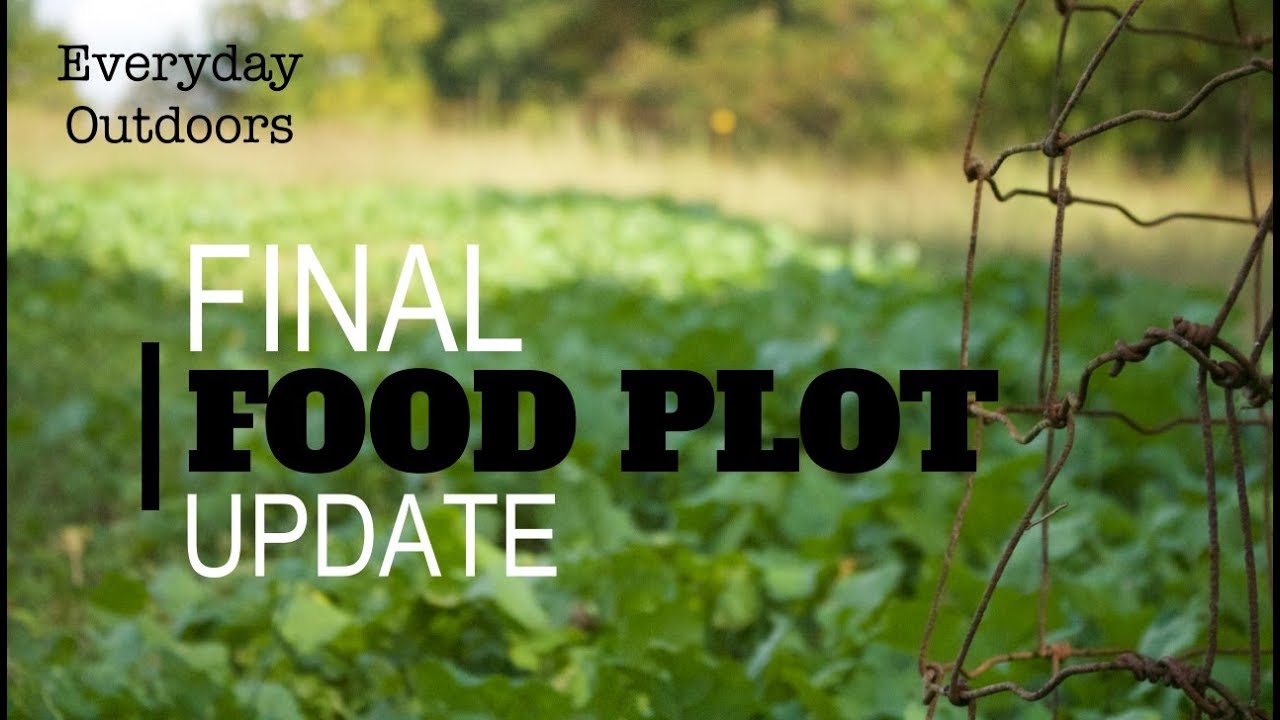 2018 Food Plots | Final Update