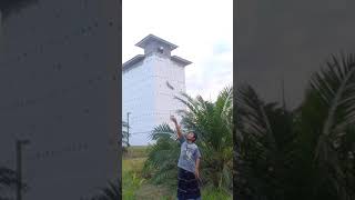 trik lucu memanggil burung walet🤣🤣