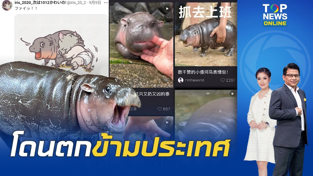 น่ารักเกินต้าน 