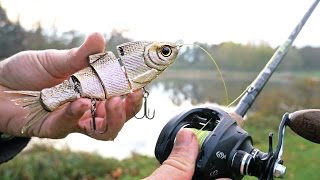 First Time Fishing with BIG Swimbaits!!!