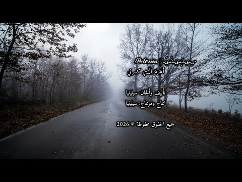 س يل ين ي ا ال ذ ي ك س ر ن ي فيديو كليب رسمي     