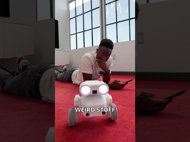 The Wildest Camera Robot