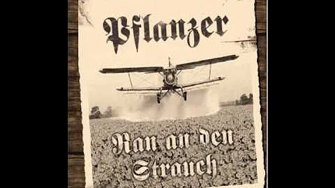 Pflanzer - Steve Irvine