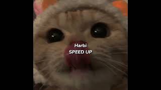 Ragıb Narin / Uzunmakarna Harbi̇