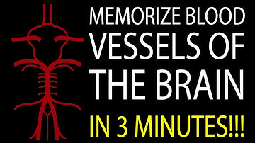 MNEMONIC Brain