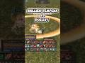Shillien Templar vs Duelist #lineage2 #olympiad