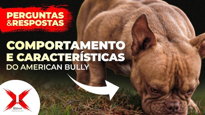 18 nomes para cachorro fêmea e significados - Blog VETEX