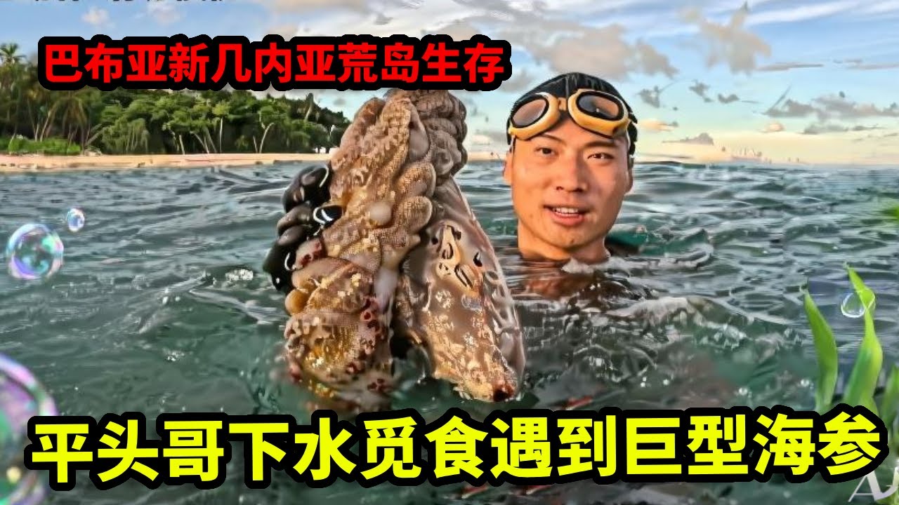 巴布亚新几内亚荒岛生存挑战全集：平头哥下水觅食遇到巨型海参，徒手抓住给伙伴们加餐，还被巨型蜥蜴骚扰【户外平头哥】