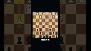 chess for ducks #chess