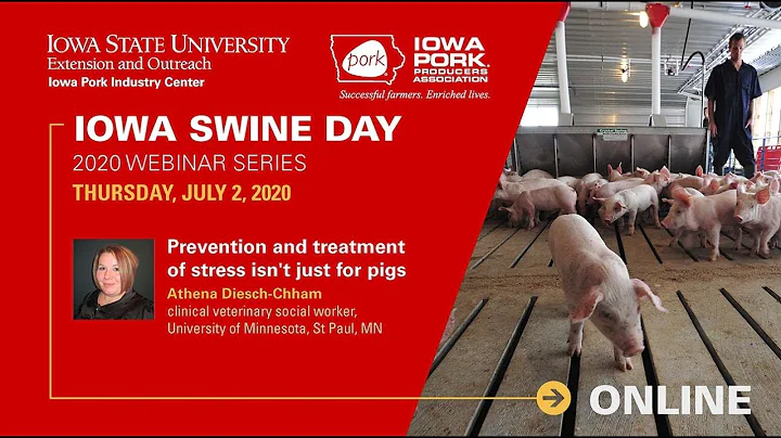 Iowa Swine Day 2020 Week 2 – Prevention and treatment of stress isn't just for pigs