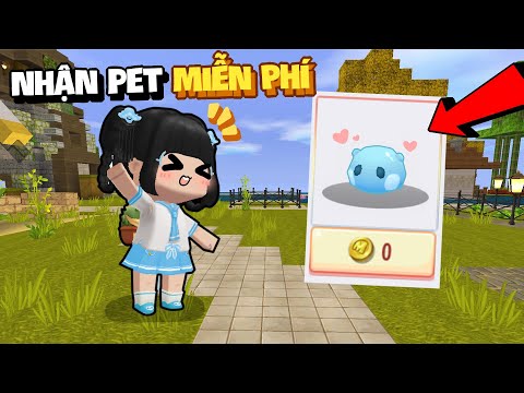 Video Mèo Simmy Bất Ngờ Nhận 