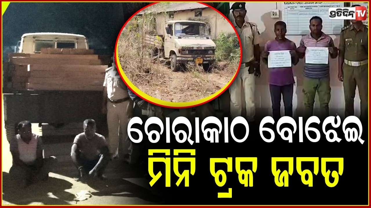 ଚୋରାକାଠ ବୋଝେଇ ମିନି ଟ୍ରକ ଜବତ ,୨ ଗିରଫ!Mini truck loaded with smuggled timber seized