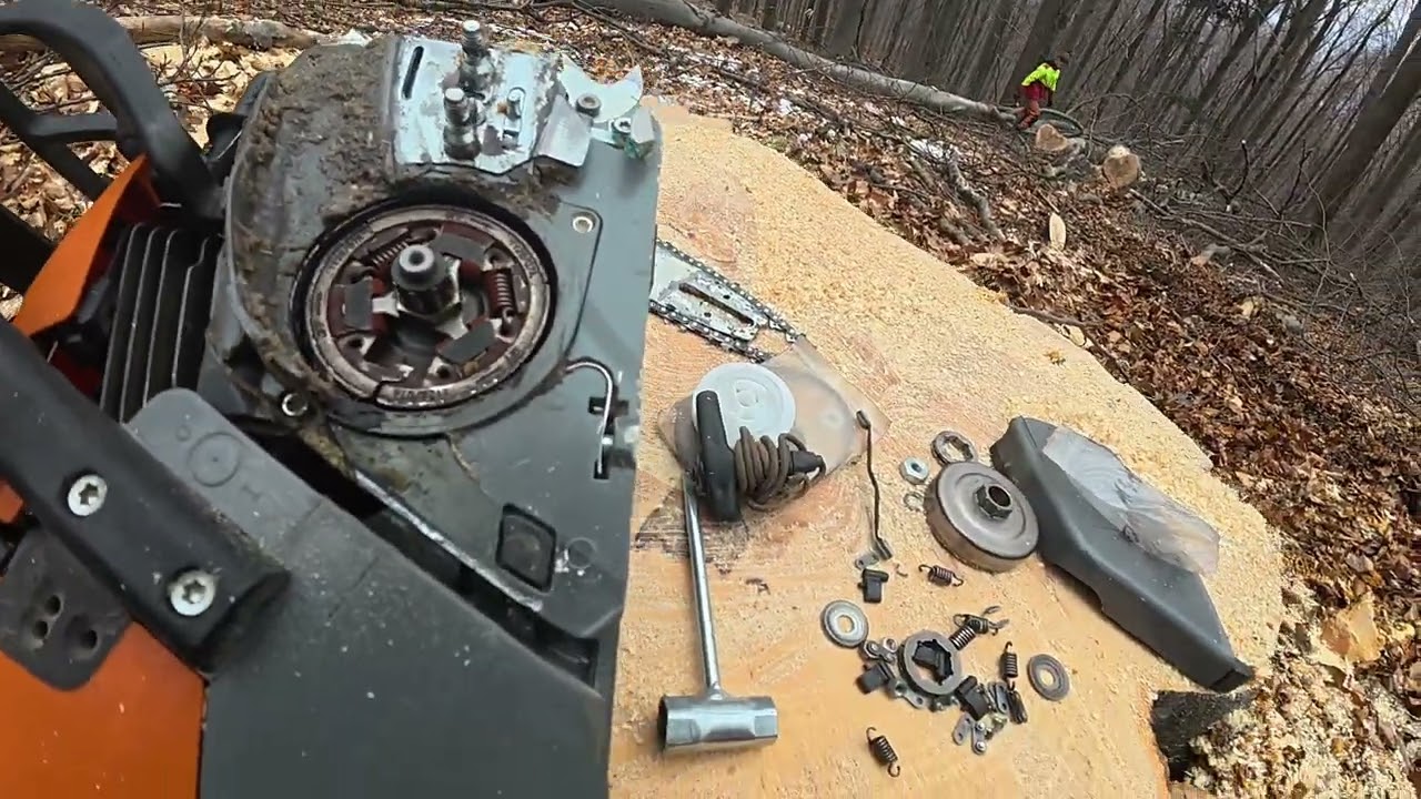 Серьезная поломка и последняя лесозаготовка китайской бензопилой MS 361, Amles, Zetor, Forestwork