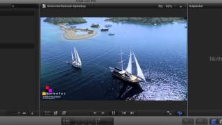 Twixtor Overview in FCP X