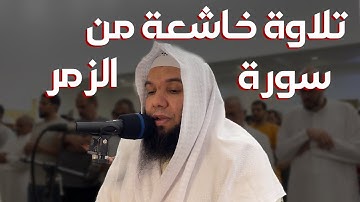 تلاوة عشائية هادئة من سورة الزمر القارئ محمد المنياوي