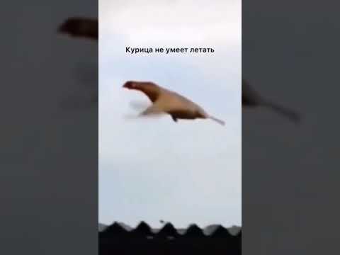 ТЫ НЕ ЗНАЛ