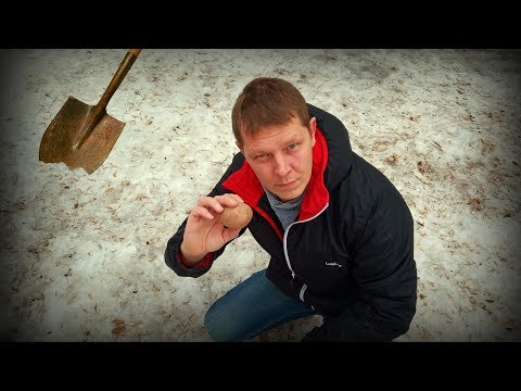 Сажаем картошку зимой! Уникальный метод!