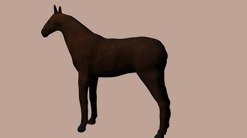3Ds Max and Zbrush - Horse